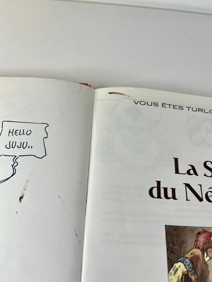 Rare BD interactive vintage : Turlogh le rôdeur - La sphère du Nécromant - photo numéro 11