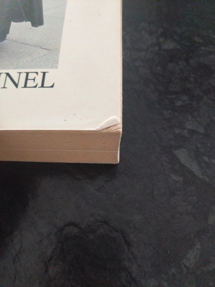 L'abbé Pierre l'insurgé de Dieu - photo numéro 4