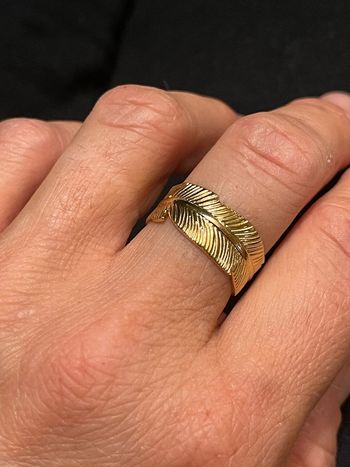 bague inox or