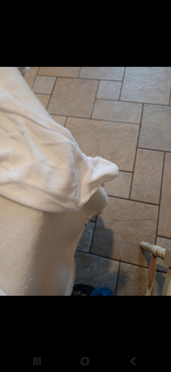 Pyjama bébé taille 18 mois - photo numéro 3