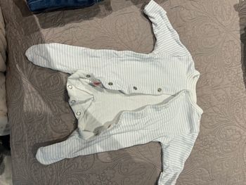 Body