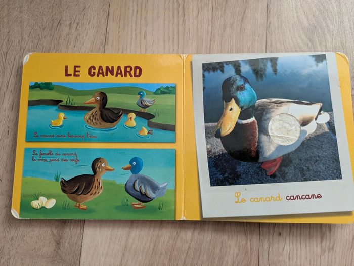 Livre bébé découvrir et toucher les animaux - photo numéro 5