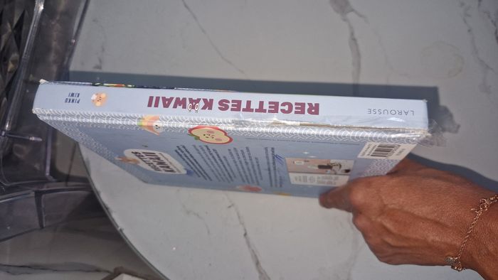 Livre kawaï - photo numéro 3