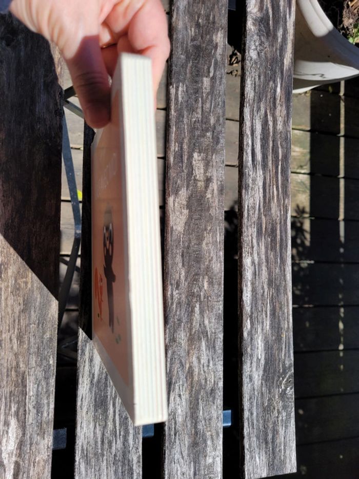 Livre tout carton Éditions Fleurus collection Petit Doux 🐿 Joue avec moi 🐻 71 - photo numéro 12