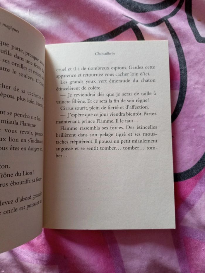 Livre les chatons magiques - photo numéro 4