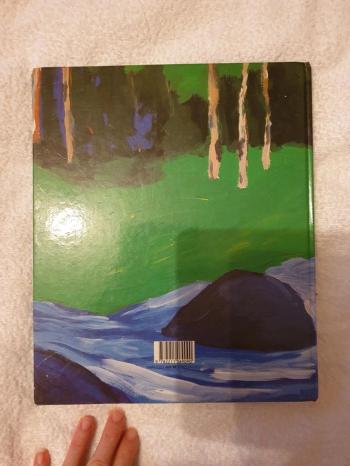 Magnifique livre enfant illustré - photo numéro 2