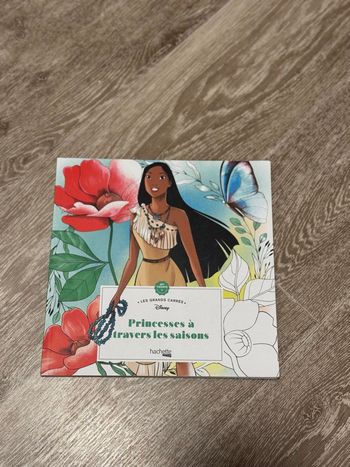 Coloriage Princesses à travers les saisons 