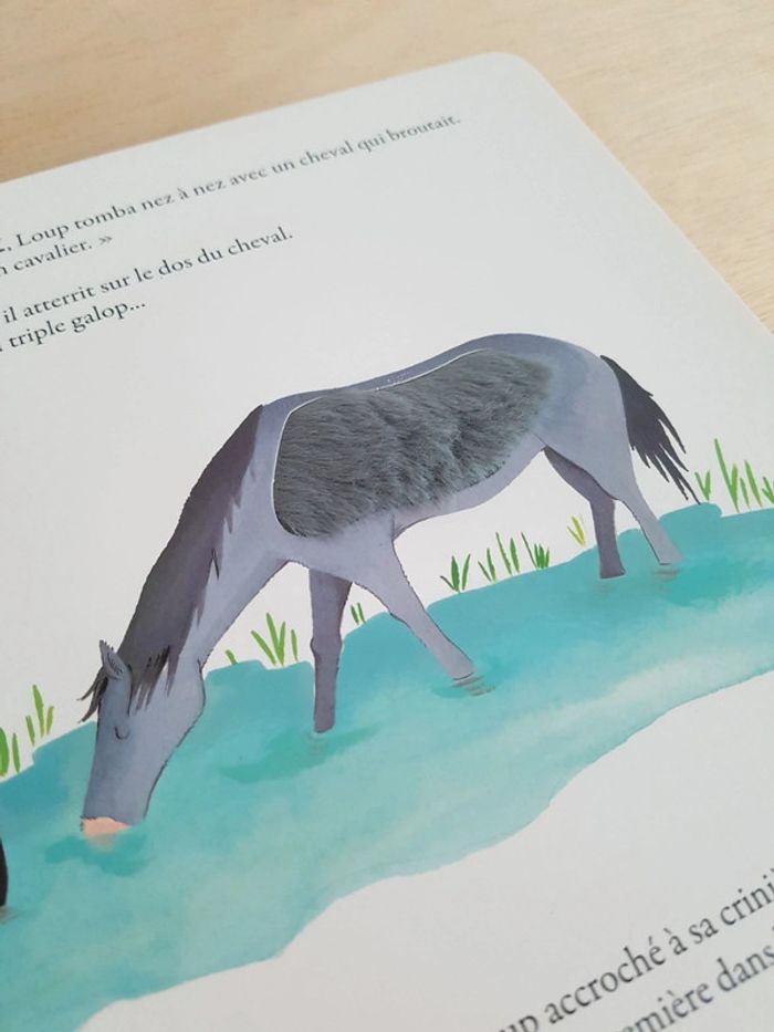 Livre à toucher le loup qui ne voulait plus marcher - photo numéro 6