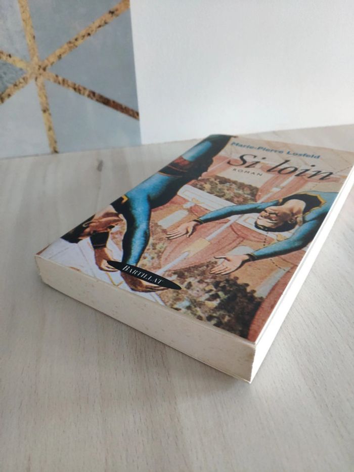 Livre grand format Si loin Marie Pierre Losfeld - photo numéro 2