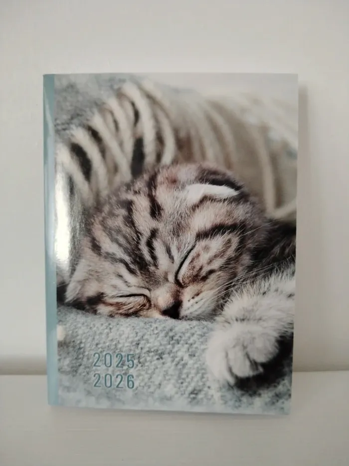 Agenda 2025/2026 chaton