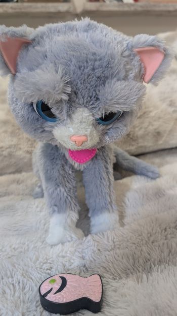 Peluche interactive Boostie mon Chat - Furreal Friends de Hasbro