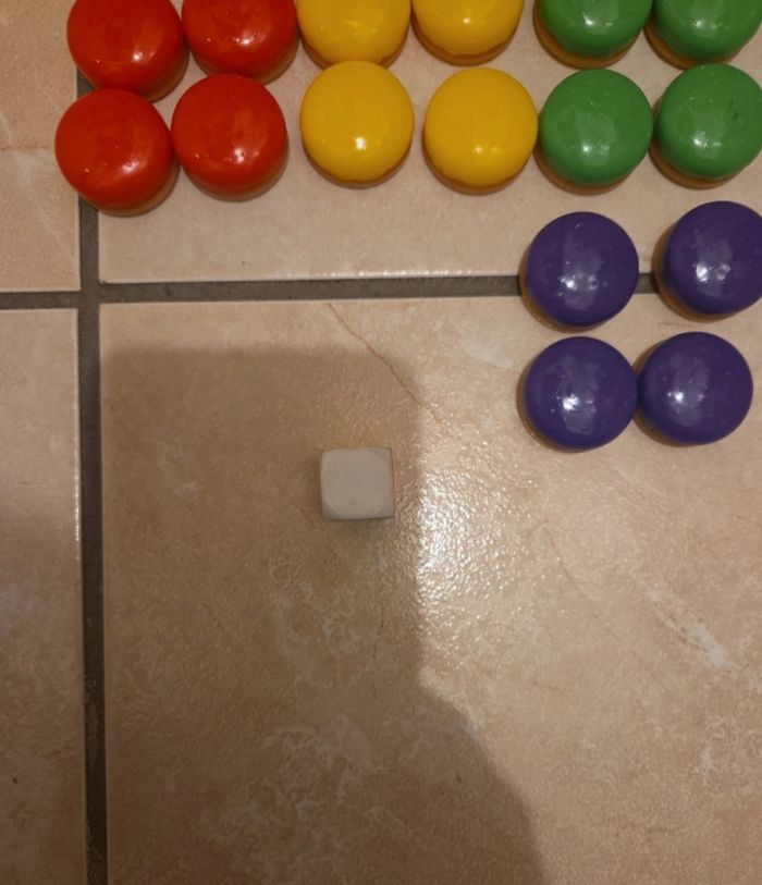 Jeux cuisto dingo - photo numéro 2