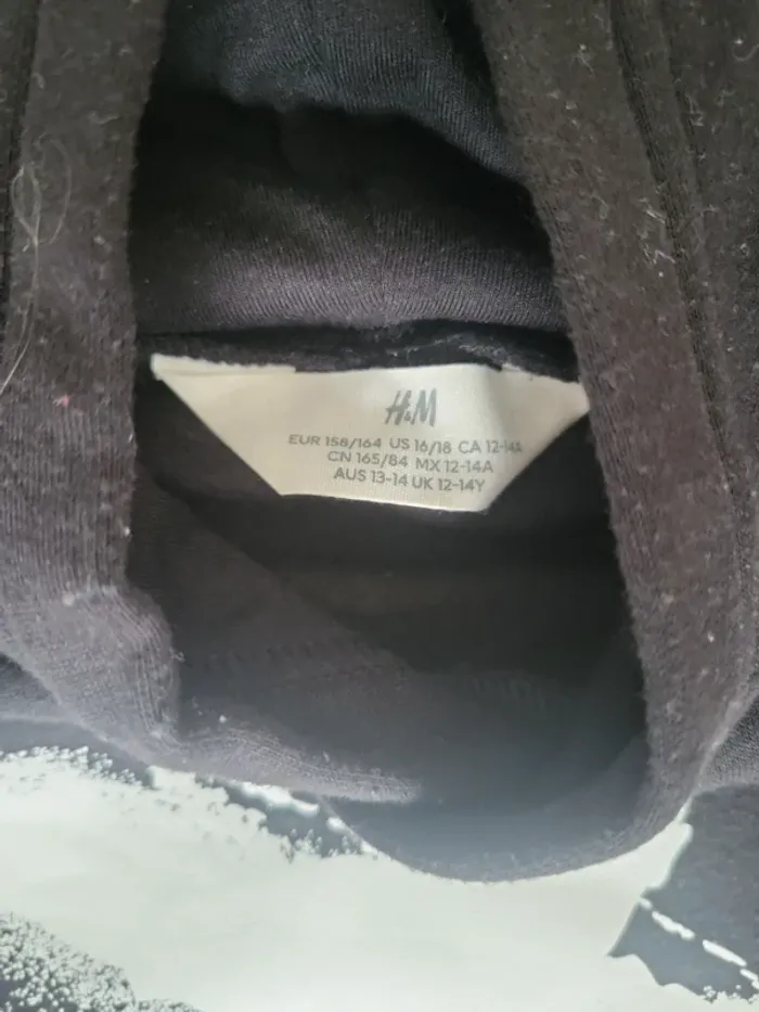 Sweat à capuche H&M 12/14 ans - photo numéro 2