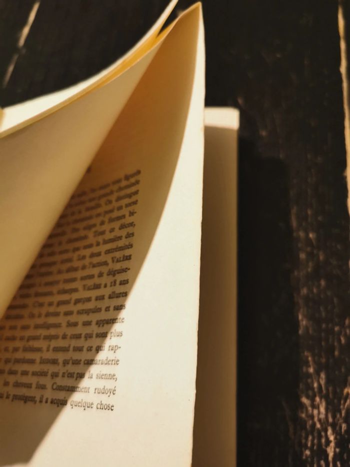 L'Ivresse de Noé. René Vittoz - photo numéro 4