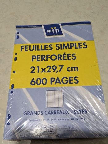 Lot de 600 feuilles simples perforées 21x29,7 cm