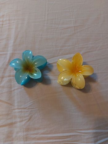 Lot 2 Grosse Pince Fleurs