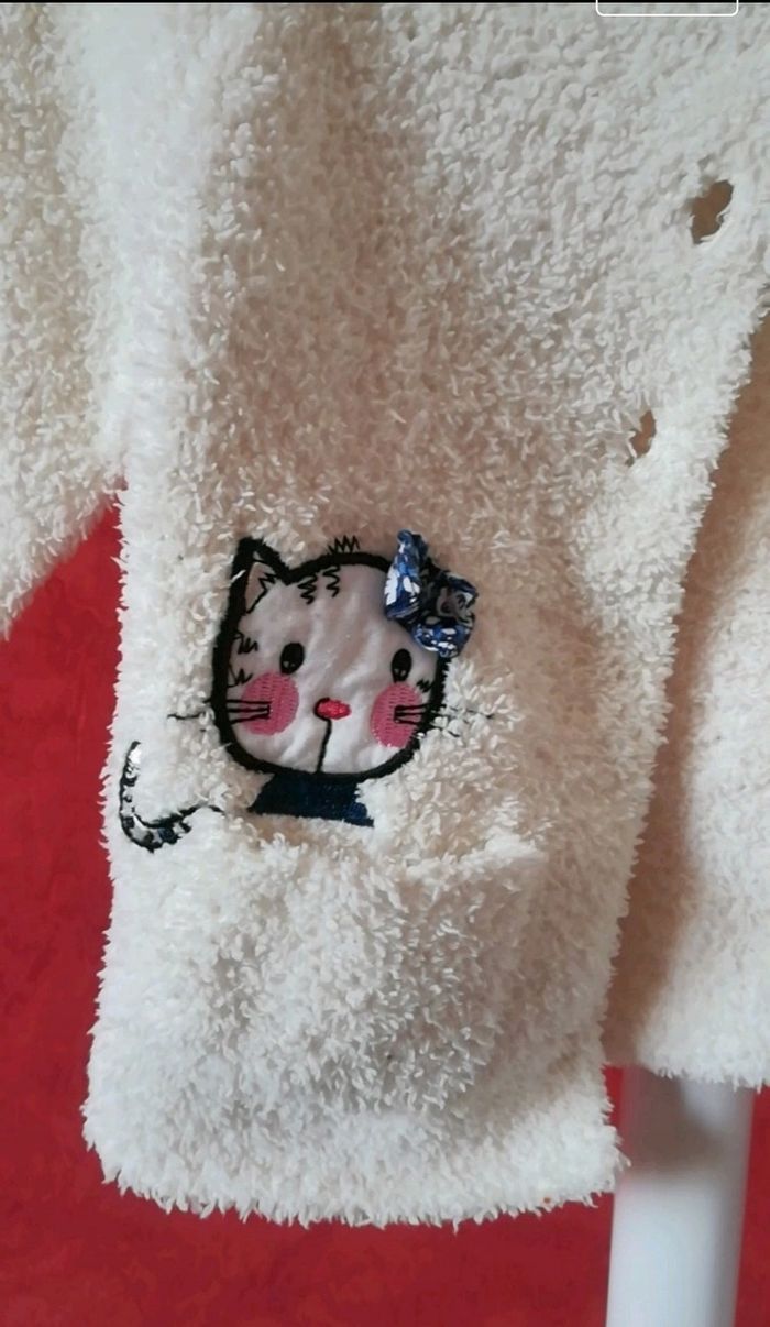 Gilet chat - photo numéro 2