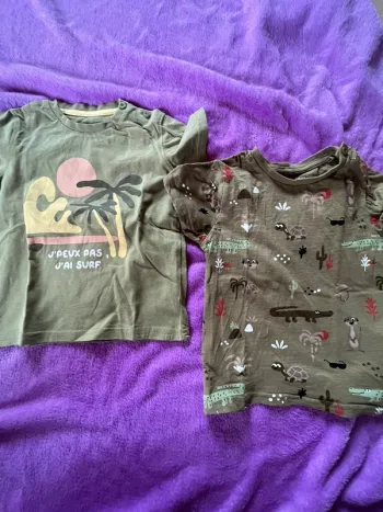 Lot de 2 t-shirt taille 24 mois (86 cm )