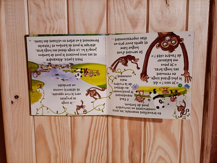 Petit Panda sauve la planète - photo numéro 3