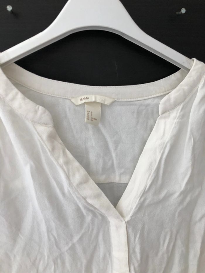 Brousse blanche - photo numéro 4
