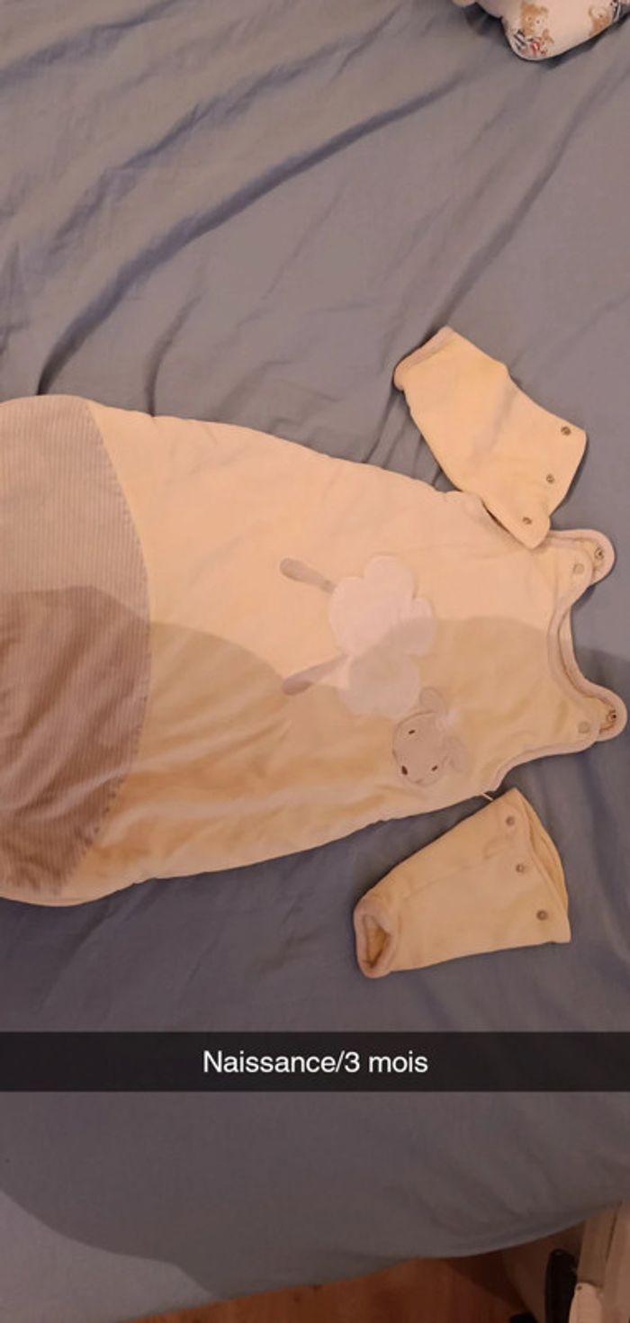 Gigoteuses - photo numéro 7