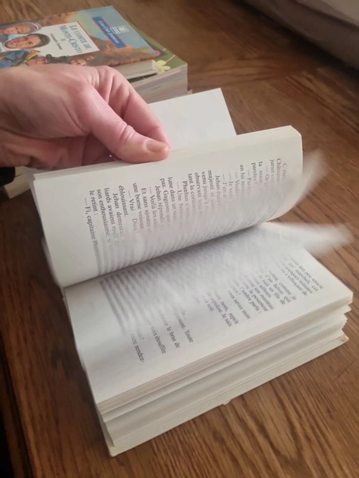 Notre Dame de Paris Victor Hugo - photo numéro 8