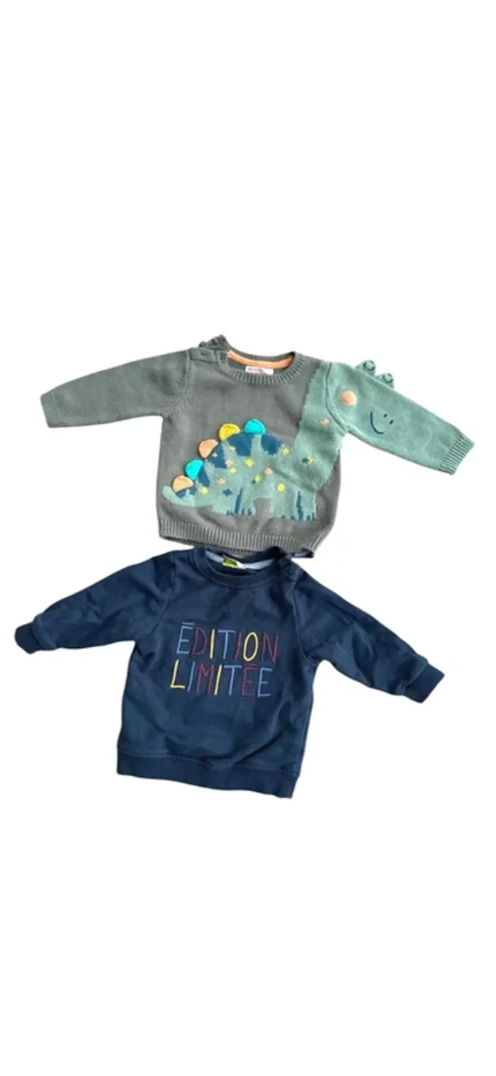 Lot de 2 pulls 6 mois – Très bon état