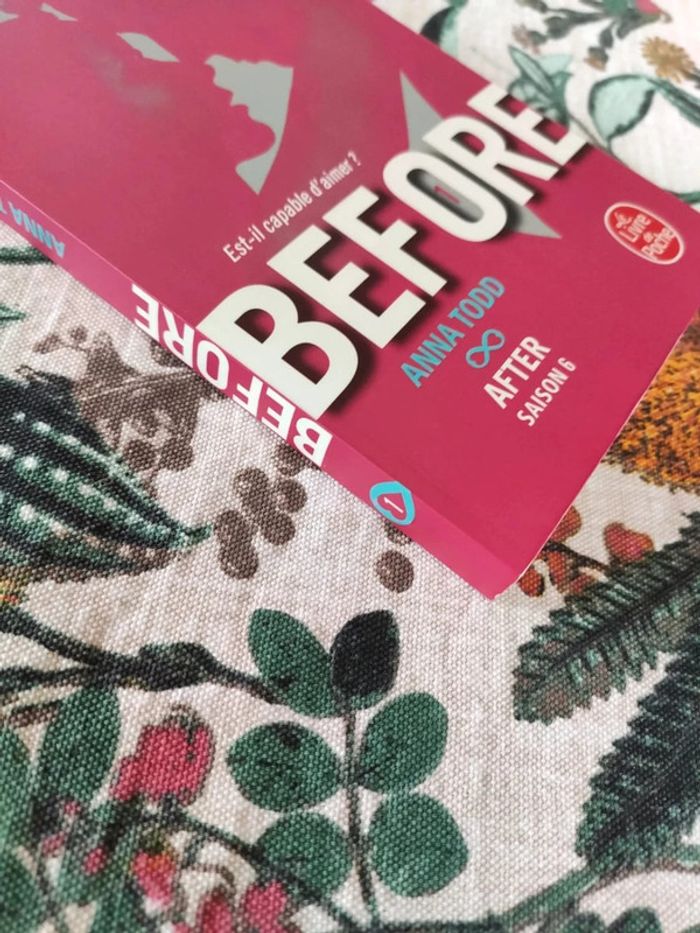 Before, la suite de after - photo numéro 3