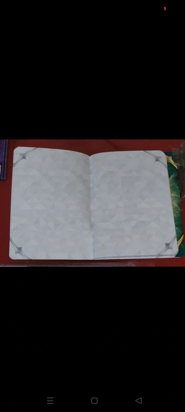 Carnet Arceus Pokémon - photo numéro 2