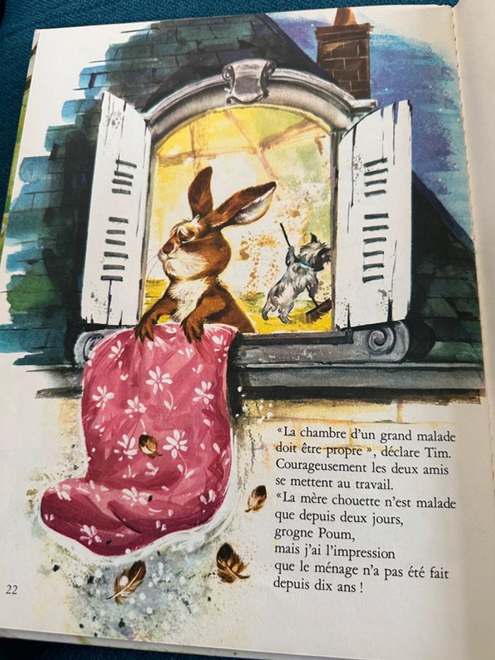 Livre bd album vintage Tim et Poum dans la forêt nature enquête hibou Pierre Probst - photo numéro 5