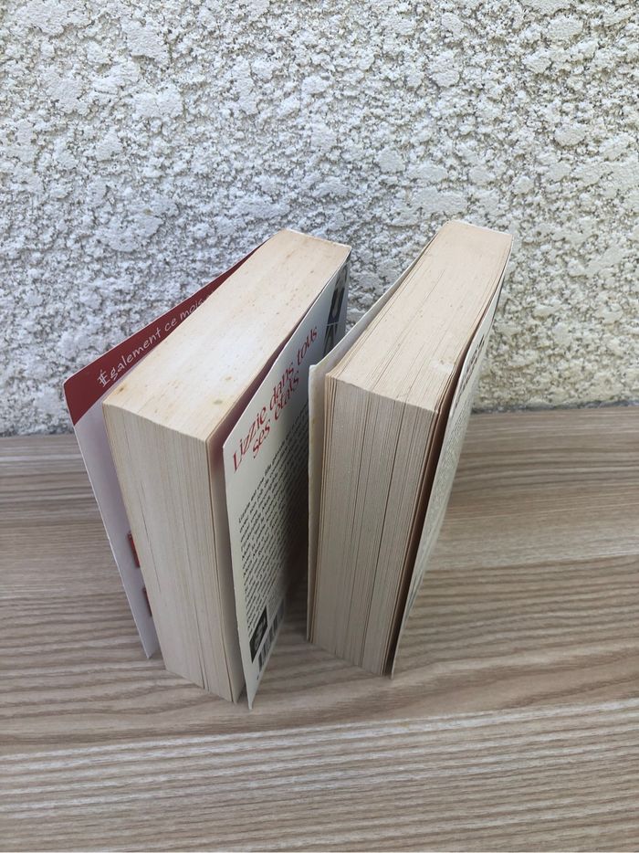 Lots de 2 romans (Allison Rushby et Jane Sigaloff) - photo numéro 2