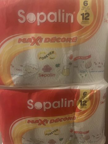 Lot de 2 packs Essuie tout Sopalin