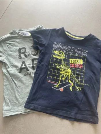 Lot de 2 tee shirt
