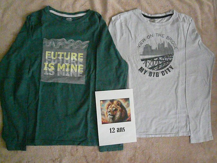 Lot de 3 tee-shirts 12 ans - photo numéro 2