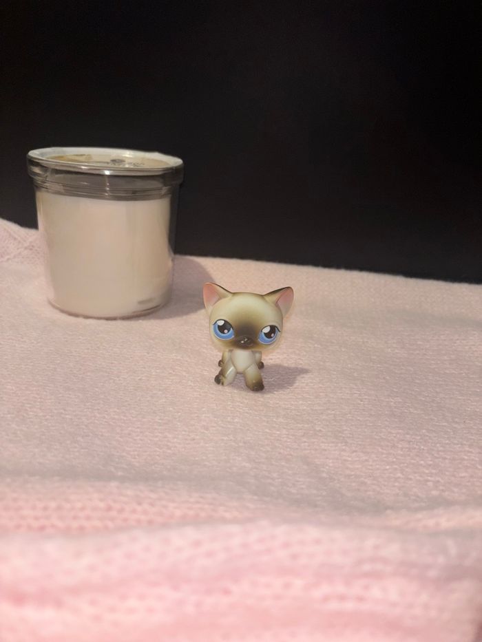 siamois #5 - photo numéro 2