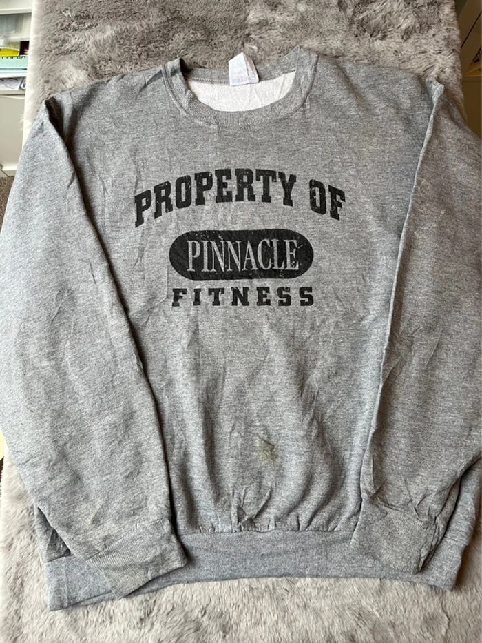 Pull Américain Fitness taille L - photo numéro 2