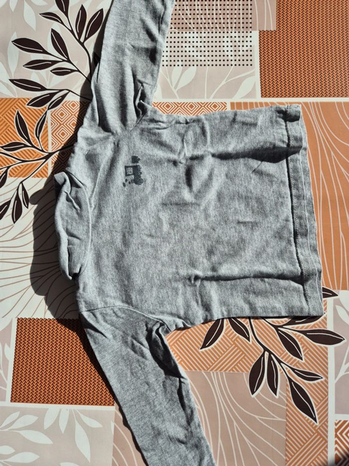 Lot de 2 Tee-shirt manches longues - photo numéro 2