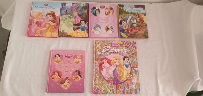 Livres Princesses Disney Idéal cadeau de Noel Cherche et Trouve et histoires