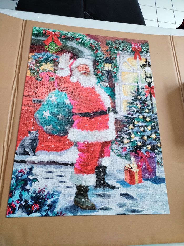 Puzzles falcon - photo numéro 9