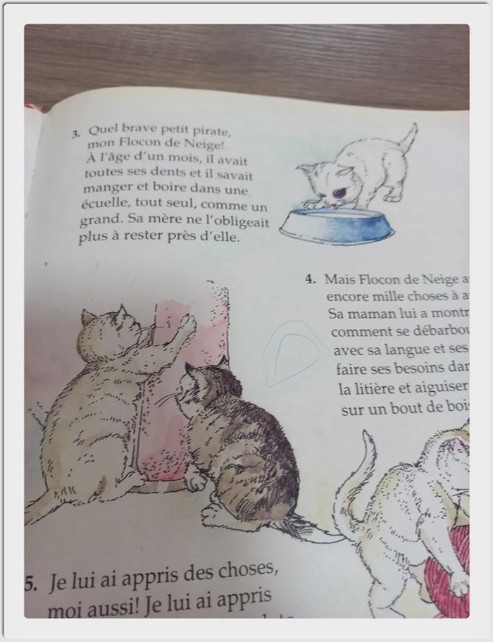 Mes livres préférés de Fisher Price: Les animaux - photo numéro 11