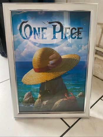 Cadre one piece