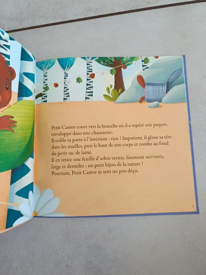 Petit castor reçoit un drôle de cadeau - photo numéro 3