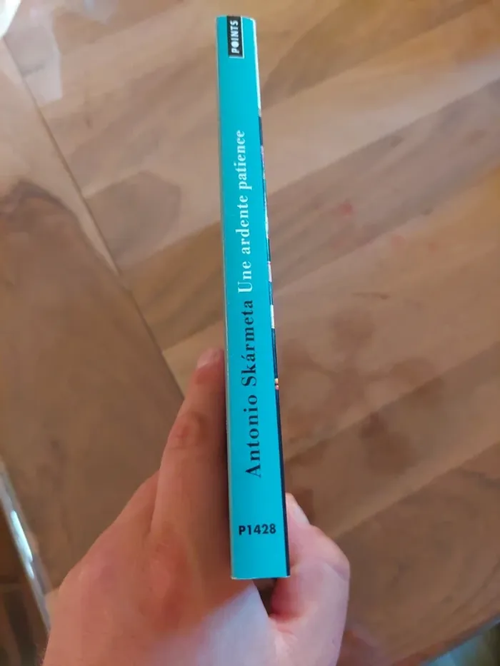 Une ardente patience, de Antonio Skármeta - photo numéro 3