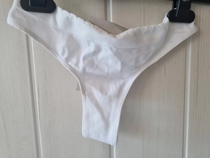 Tanga M - photo numéro 2