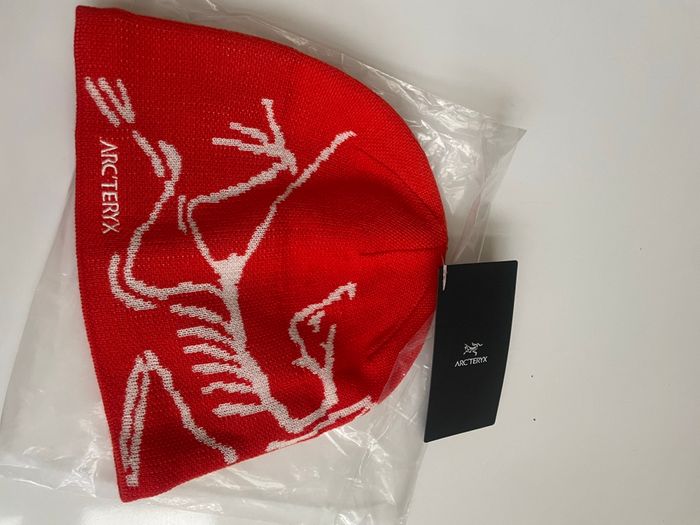 Bonnet Arcteryx bird head toque - photo numéro 2