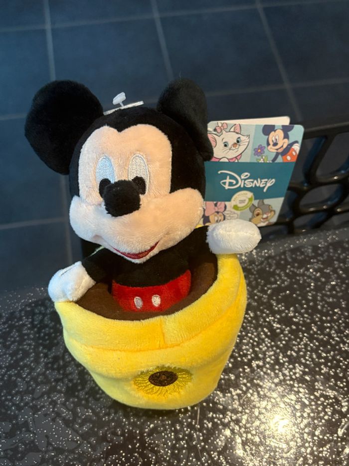 Doudou Mickey Tournesol
