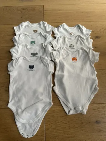 Bodies