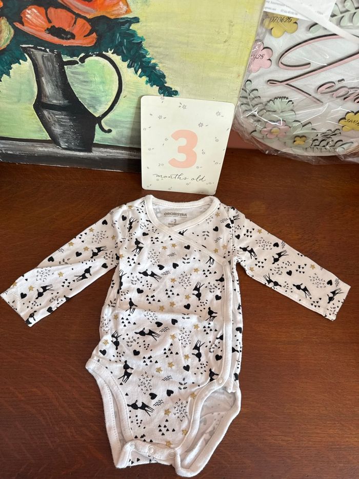 Lot 18 vêtements bébé 3 mois - photo numéro 3