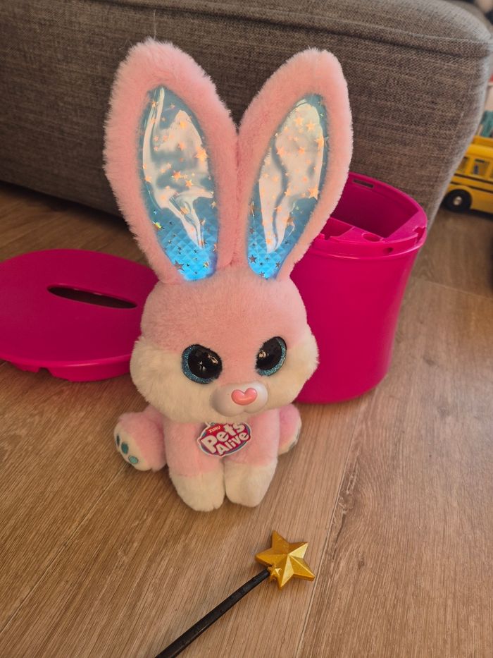 Lapin pets alive - photo numéro 2