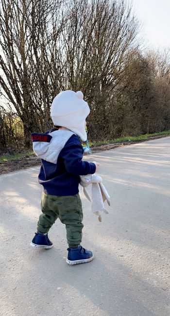 Gilet IKKS